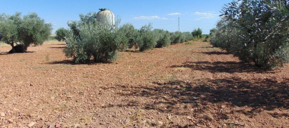 5 bedrooms House in Ciudad Real, Spain No. 165620 6