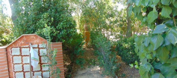 5 bedrooms House in Ciudad Real, Spain No. 165620 3