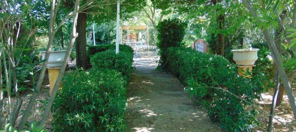 5 bedrooms House in Ciudad Real, Spain No. 165620 2