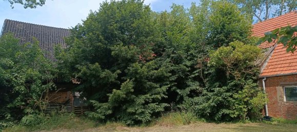 3 bedrooms House in Ludwigslust-Parchim, Germany No. 348834 2