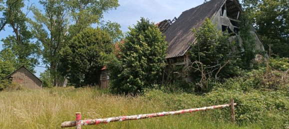 3 bedrooms House in Ludwigslust-Parchim, Germany No. 348834 6