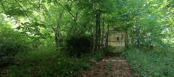 3 bedrooms House in Ludwigslust-Parchim, Germany No. 348834 7