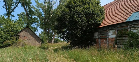 3 bedrooms House in Ludwigslust-Parchim, Germany No. 348834 5