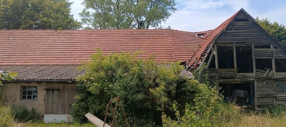 3 bedrooms House in Ludwigslust-Parchim, Germany No. 348834 4