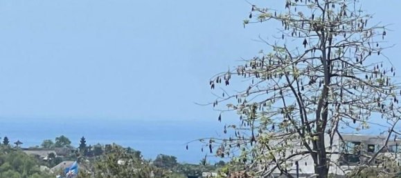 Земельный участок 14300м² в Южная Кута, Индонезия № 4024 6