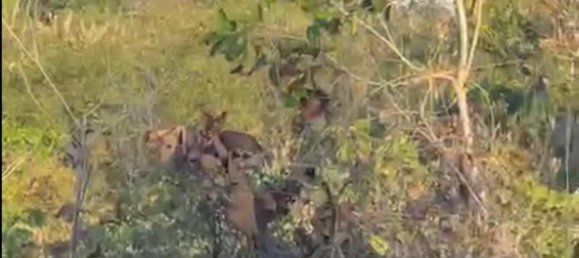 Земельный участок 14300м² в Южная Кута, Индонезия № 4024 7