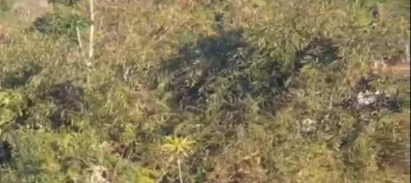 Земельный участок 14300м² в Южная Кута, Индонезия № 4024 5