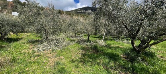 5 Schlafzimmer Haus in Subiaco, Italy, Nr. 83945 12