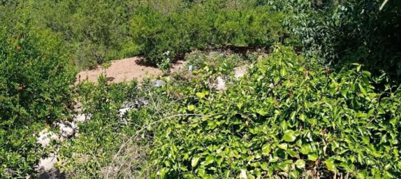 Дом с 5 спальнями в Алаурин-эль-Гранде, Испания № 148791 47