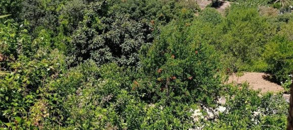 Дом с 5 спальнями в Алаурин-эль-Гранде, Испания № 148791 4