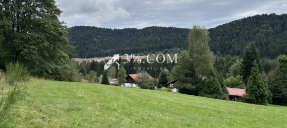 Земельный участок 1800м² в Жерардмер, Франция № 225575 15