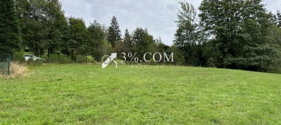 Земельный участок 1800м² в Жерардмер, Франция № 225575 14