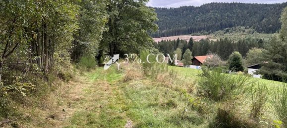 Земельный участок 1800м² в Жерардмер, Франция № 225575 20