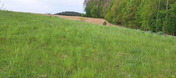 Grundstück in Unterkohlstätten, Austria, Nr. 162916 2
