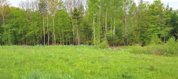 Grundstück in Unterkohlstätten, Austria, Nr. 162916 3