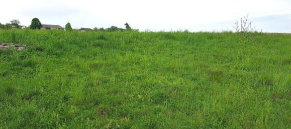 Grundstück in Unterkohlstätten, Austria, Nr. 162916 4