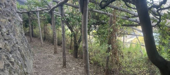 Земельный участок 4000м² в Лавелло, Италия № 343620 7