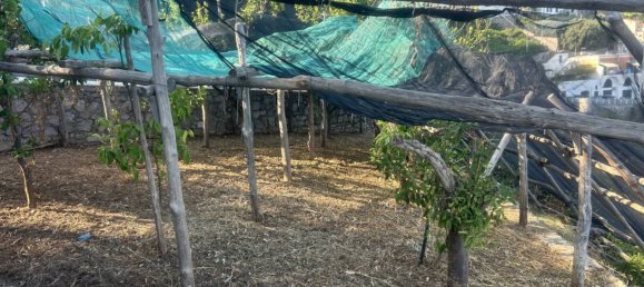 Земельный участок 4000м² в Лавелло, Италия № 343620 9