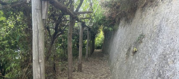 Земельный участок 4000м² в Лавелло, Италия № 343620 6