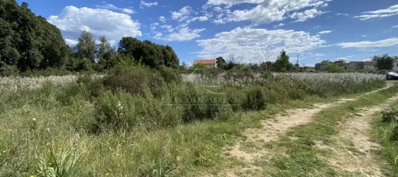 Grundstück in Ghisonaccia, France 1173m², Nr. 217888 4