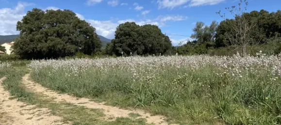 Grundstück in Ghisonaccia, France 1173m², Nr. 217888 5