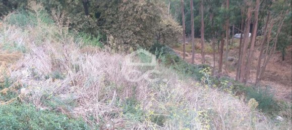 286m² Land in Vila Nova de Famalicao, Portugal No. 33167 4