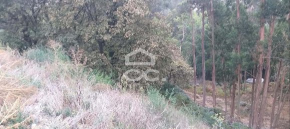 286m² Land in Vila Nova de Famalicao, Portugal No. 33167 3