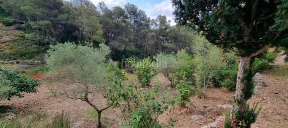 Casa T3 em Tarragona, Spain N.º 176009 14