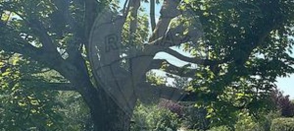 Grundstück in Peltre, France 1000m², Nr. 307726 2