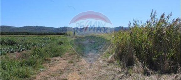 3080m² Land in Nazare, Portugal No. 71320 15