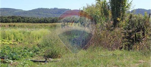 3080m² Land in Nazare, Portugal No. 71320 3