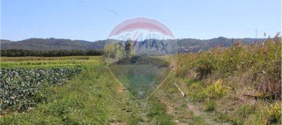 3080m² Land in Nazare, Portugal No. 71320 2