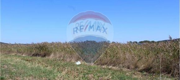 3080m² Land in Nazare, Portugal No. 71320 16