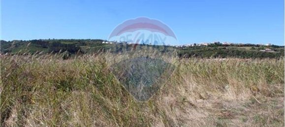3080m² Land in Nazare, Portugal No. 71320 11