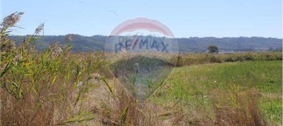 3080m² Land in Nazare, Portugal No. 71320 21