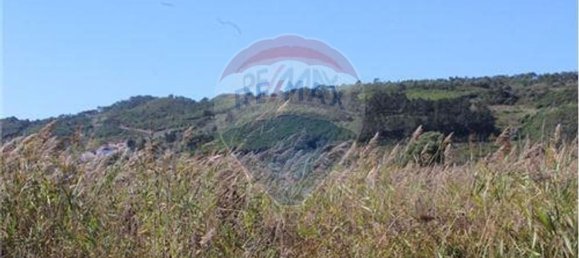 3080m² Land in Nazare, Portugal No. 71320 7