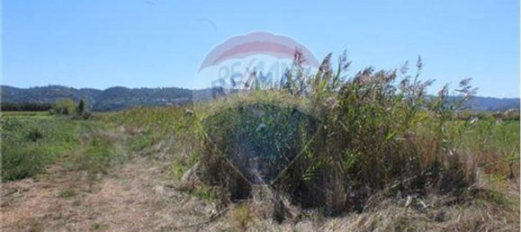 3080m² Land in Nazare, Portugal No. 71320 14