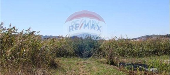 3080m² Land in Nazare, Portugal No. 71320 22