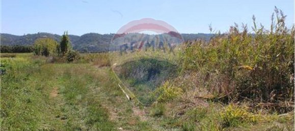 3080m² Land in Nazare, Portugal No. 71320 12