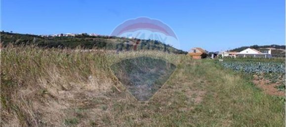 3080m² Land in Nazare, Portugal No. 71320 19