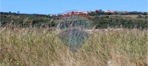 3080m² Land in Nazare, Portugal No. 71320 8