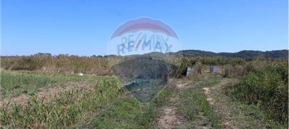 3080m² Land in Nazare, Portugal No. 71320 18