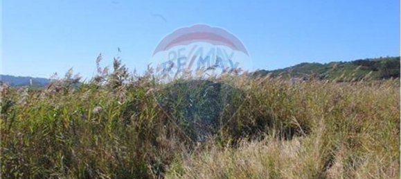 3080m² Land in Nazare, Portugal No. 71320 10