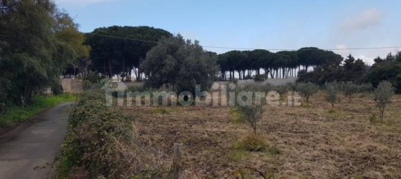  قطعة أرض في Gizzeria, Italy 3980متر مربع رقم 8940 6