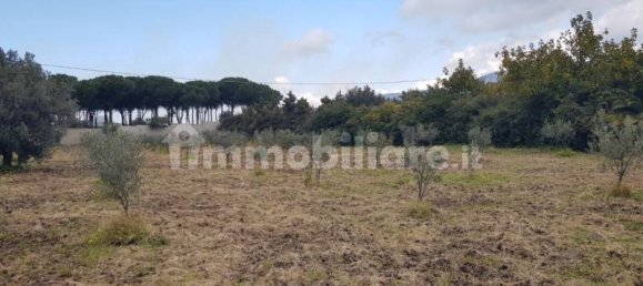  قطعة أرض في Gizzeria, Italy 3980متر مربع رقم 8940 5