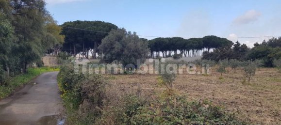  قطعة أرض في Gizzeria, Italy 3980متر مربع رقم 8940 7