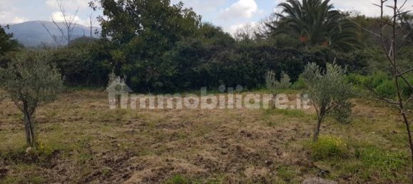  قطعة أرض في Gizzeria, Italy 3980متر مربع رقم 8940 4