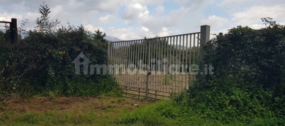  قطعة أرض في Gizzeria, Italy 3980متر مربع رقم 8940 9