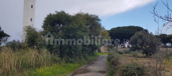  قطعة أرض في Gizzeria, Italy 3980متر مربع رقم 8940 8