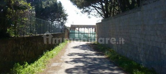  قطعة أرض في Gizzeria, Italy 3980متر مربع رقم 8940 2